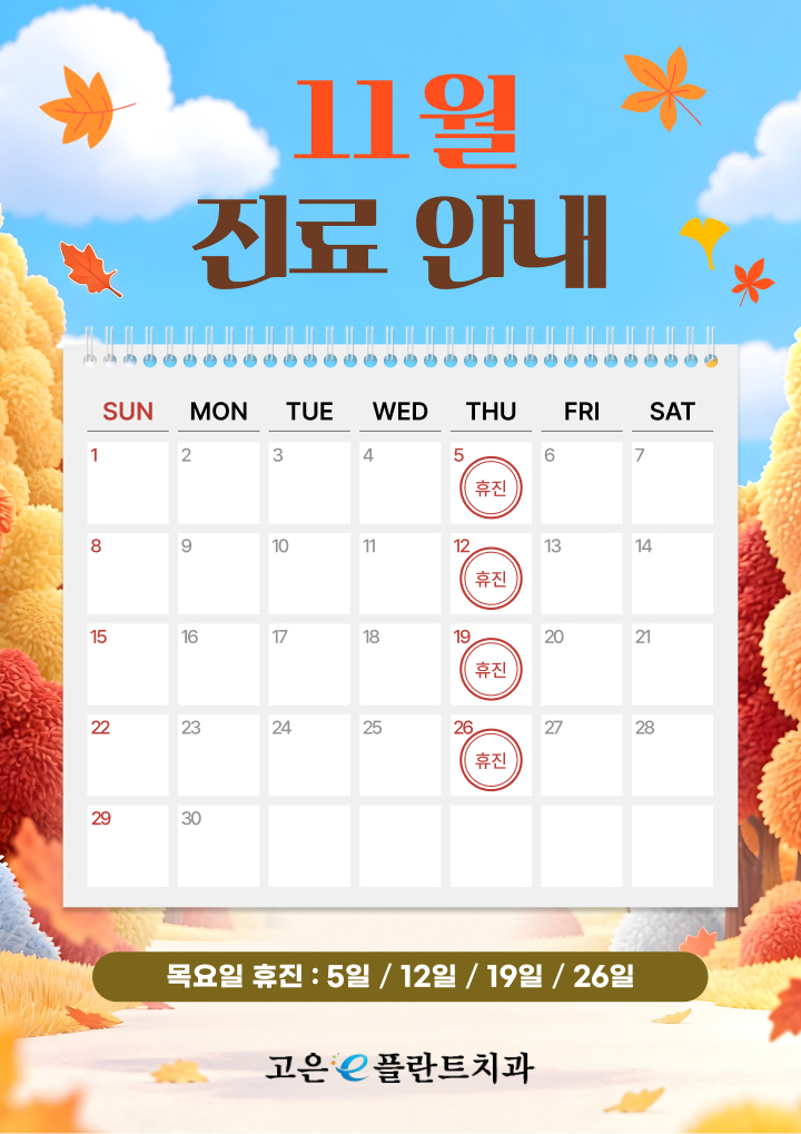 11월 진료안내